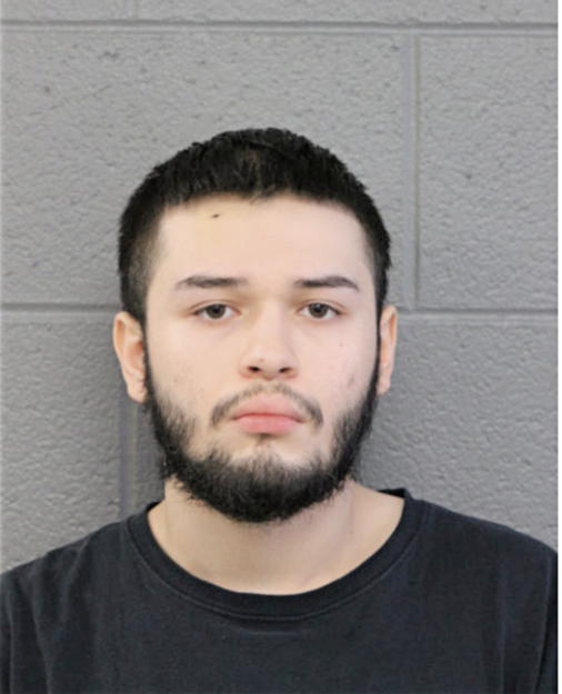 ALEXIS CARREON, Cook County, Illinois