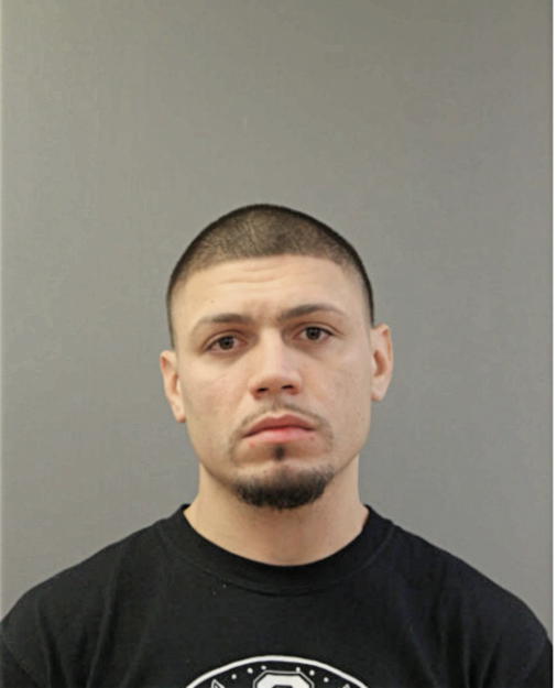 DANIEL R CRUZ, Cook County, Illinois