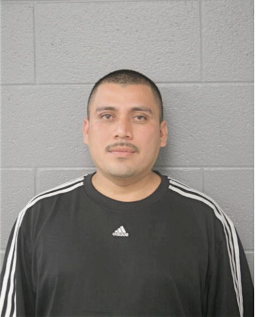 DAVID FLORES, Cook County, Illinois