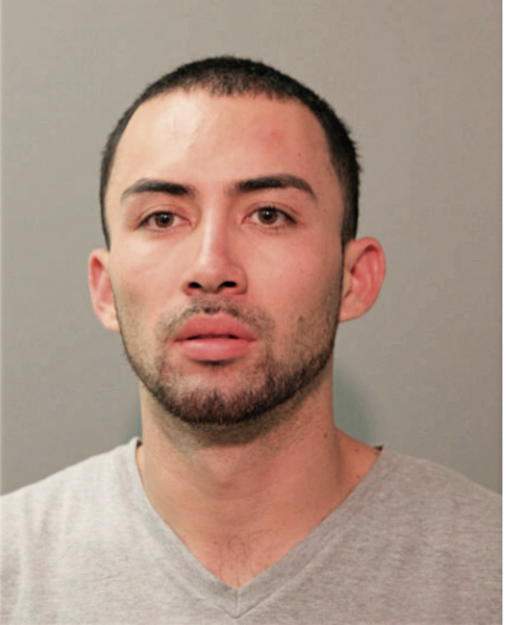 TONY FLORES-GONZALEZ, Cook County, Illinois