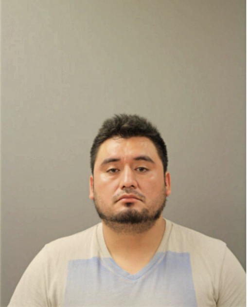 MOISES FLORES, Cook County, Illinois