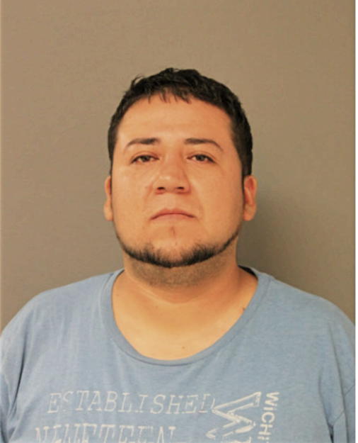 FRANCISCO D GARCIA-BUCIO, Cook County, Illinois