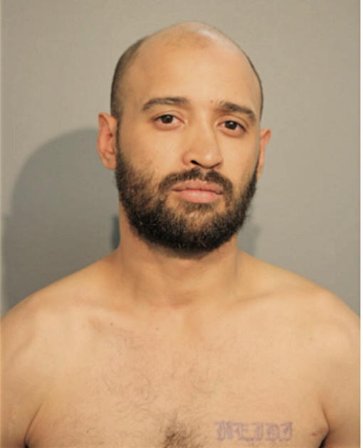 LUIS A GONZALEZ, Cook County, Illinois