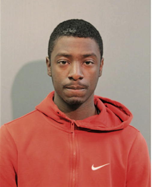 CHRISTIAN J HOLT, Cook County, Illinois