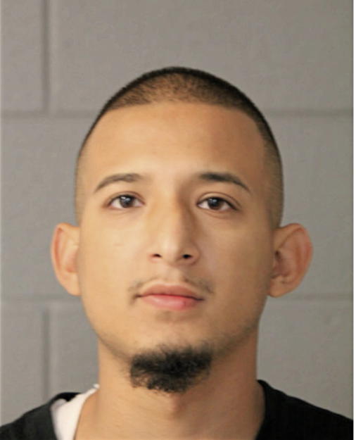 JUAN M INFANTE, Cook County, Illinois