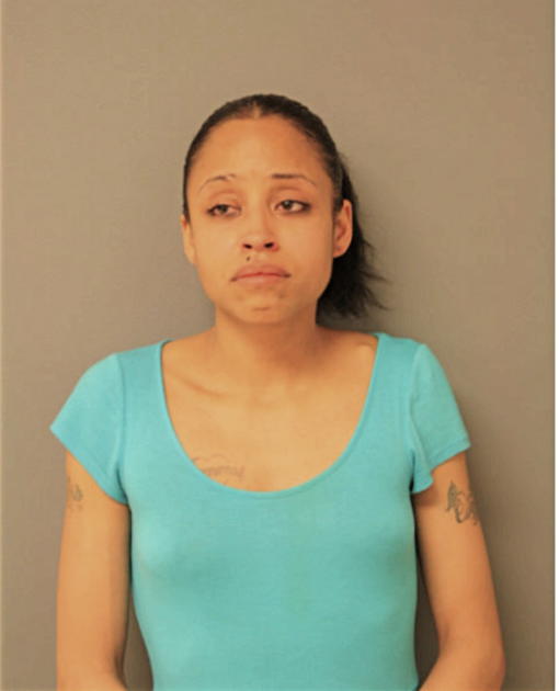 LISA M LEWIS, Cook County, Illinois