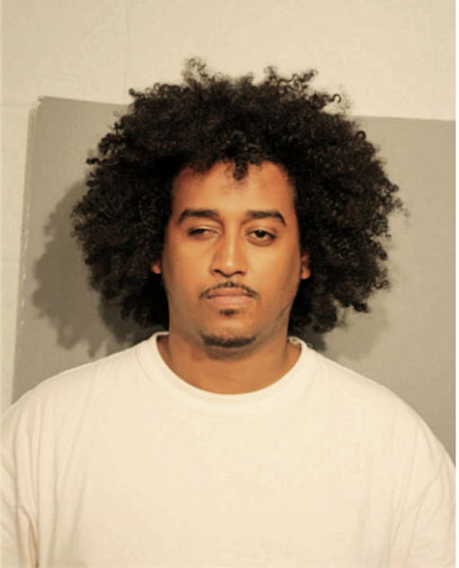 YOHAN A MENGSTEAB, Cook County, Illinois