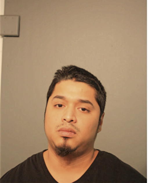 NOE MORALES, Cook County, Illinois