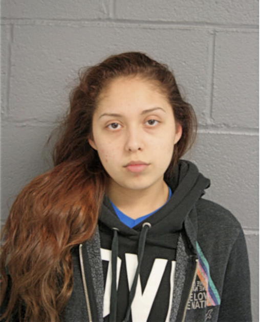 TANYA A NOAH, Cook County, Illinois