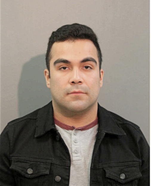 LEONARDO PUENTE, Cook County, Illinois
