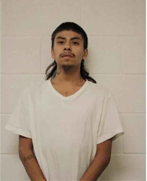 MARTIN RAMIREZ, Cook County, Illinois