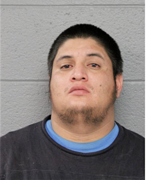 LEONARDO RESENDIZ, Cook County, Illinois