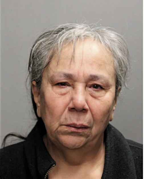 LUZ E REYES, Cook County, Illinois