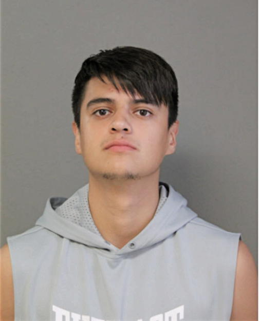 JOSE A REYNOSO, Cook County, Illinois