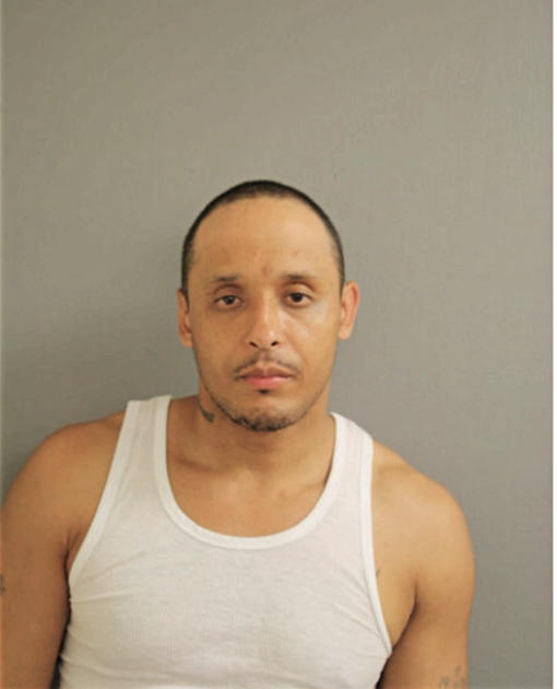 JOEY A RIMSCHNEIDER, Cook County, Illinois