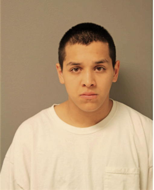 ALBERT G SANDOVAL, Cook County, Illinois