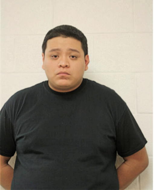MISSAEL M SILVA, Cook County, Illinois