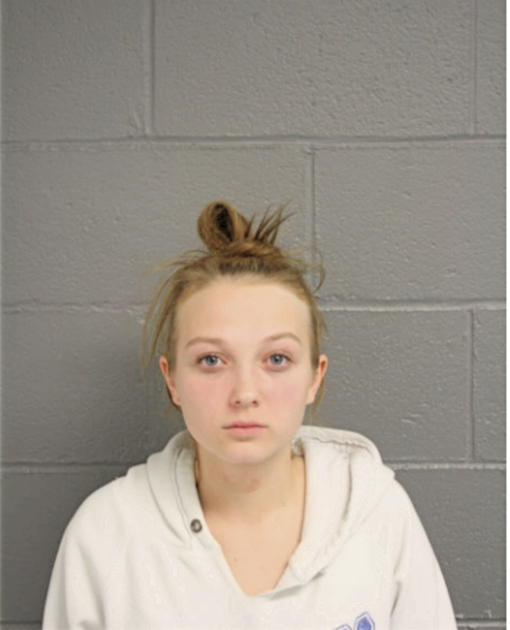 SAMANTHA S SZERLAG, Cook County, Illinois
