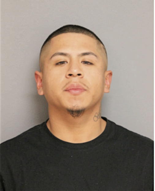 JAVIER J TILAPA, Cook County, Illinois