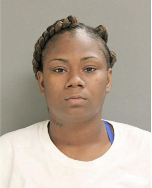 THERESA M TIMBERLAKE, Cook County, Illinois