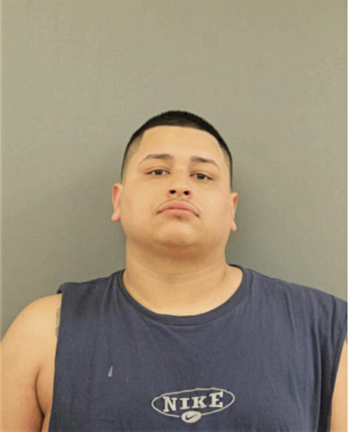 ANTHONY E TORRES, Cook County, Illinois