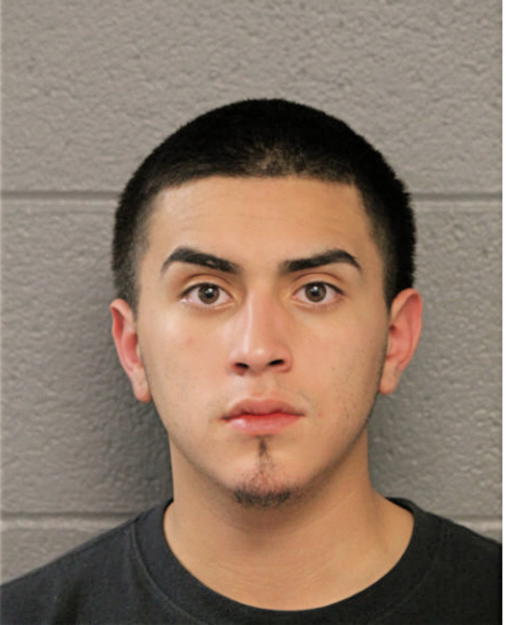 JULIAN G VIEZCA, Cook County, Illinois