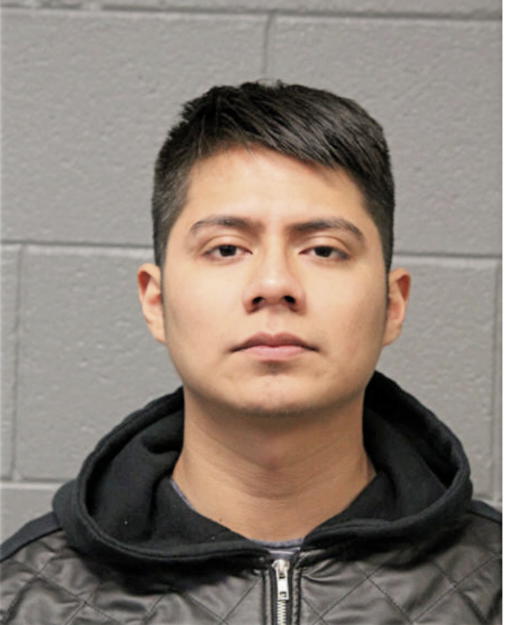 FIIDEL ALVAREZ, Cook County, Illinois