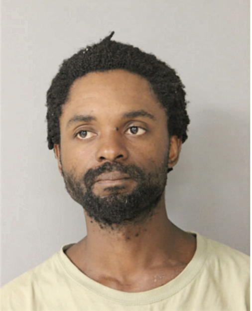 DAVID ANDERSON, Cook County, Illinois