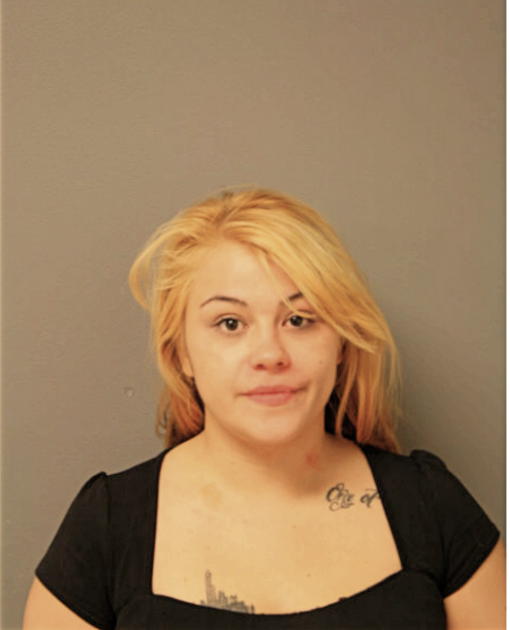 CASSANDRA J CASTRO, Cook County, Illinois