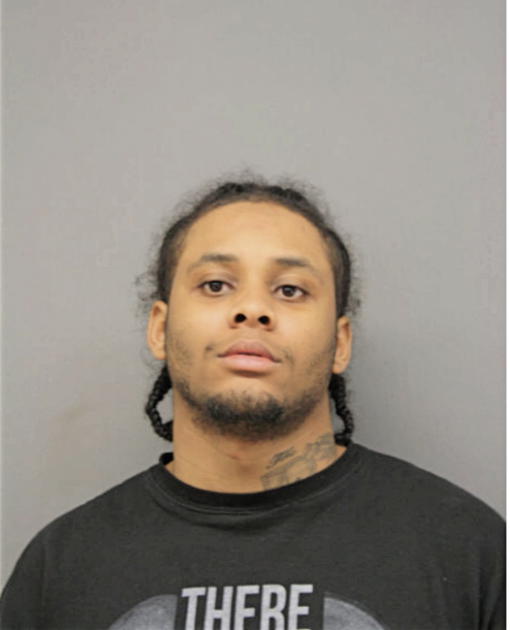 RYAN K DANIEL, Cook County, Illinois