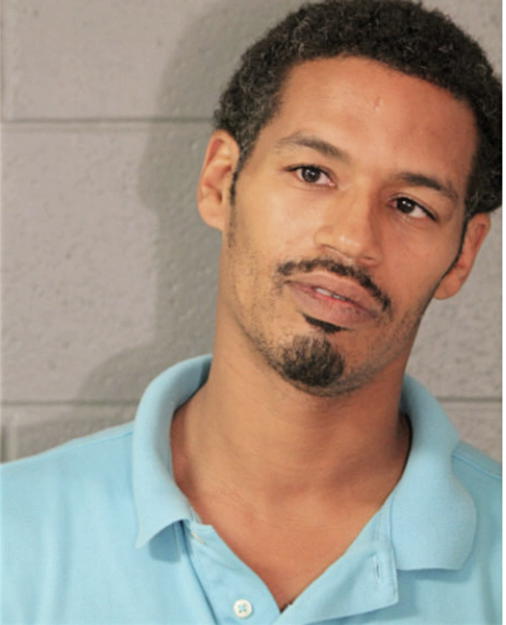DION FENNER, Cook County, Illinois