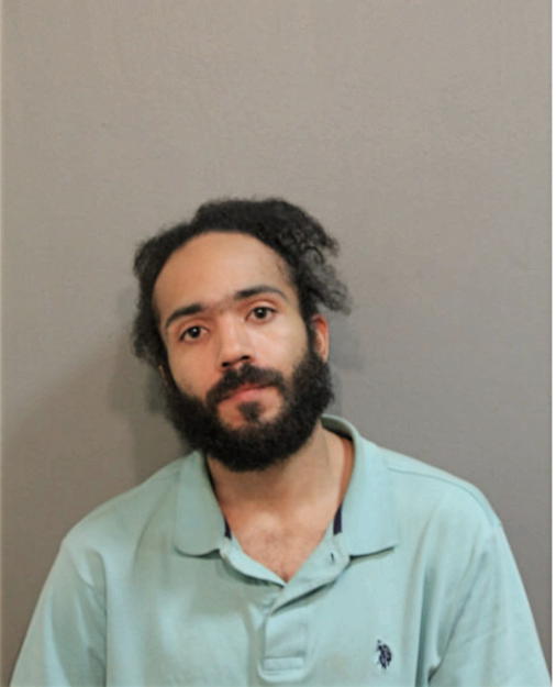 ROBERT J FLEMING, Cook County, Illinois
