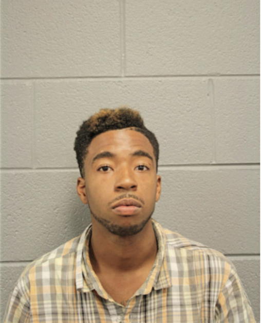 BRUCE B GERMAN, Cook County, Illinois