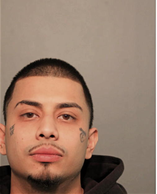 ANGEL M GONTARZ, Cook County, Illinois