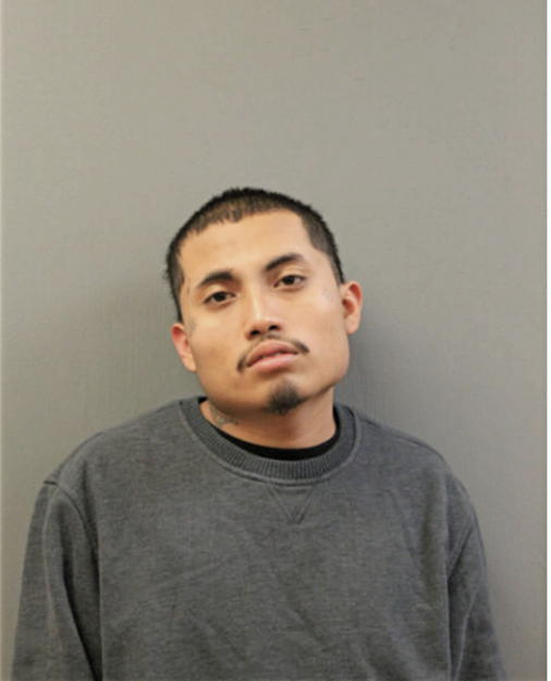 DAVID GONZALEZ, Cook County, Illinois