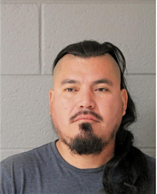 ELVIS GONZALEZ, Cook County, Illinois