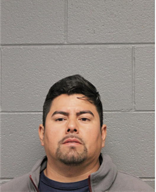 ALFREDO ESTEBAN GUZMAN, Cook County, Illinois