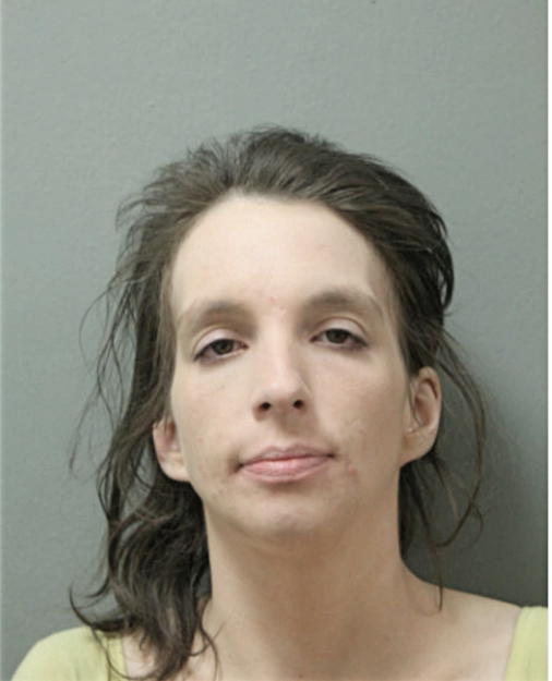 STEFFANY L HOLLAND, Cook County, Illinois