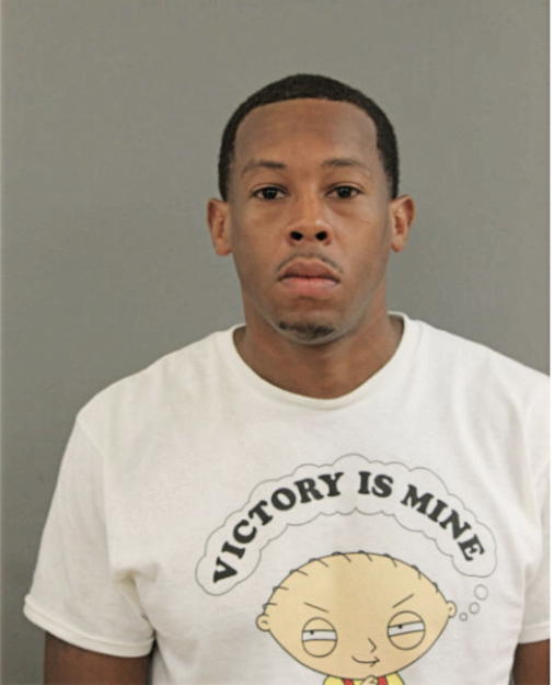 JULIUS B IVY, Cook County, Illinois