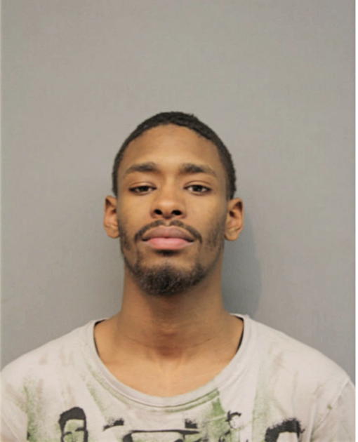 KEVIN L SNULLIGAN, Cook County, Illinois