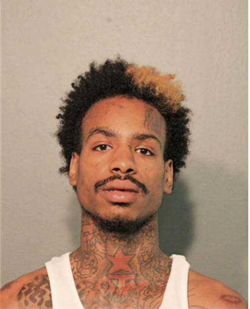 ALVIN E LASHLEY, Cook County, Illinois