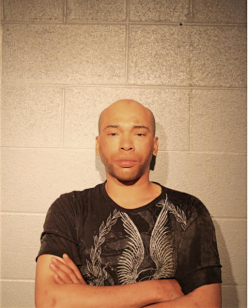 DANNEL M MITCHELL, Cook County, Illinois