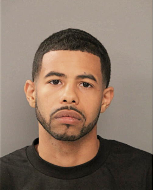 BRIAN R MORRISON, Cook County, Illinois