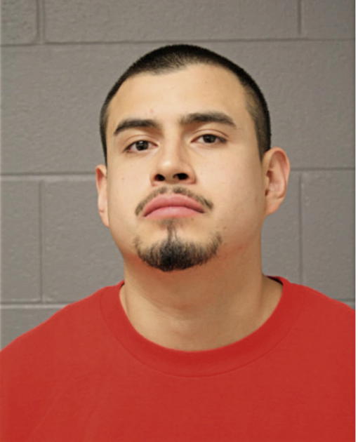 LUCAS ROCHEL, Cook County, Illinois