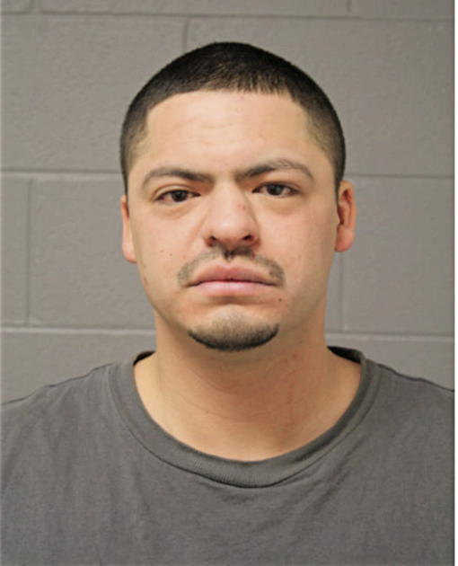 DANIEL B ROMAN, Cook County, Illinois