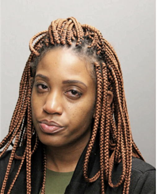 ARIKA SALAUDEEN, Cook County, Illinois