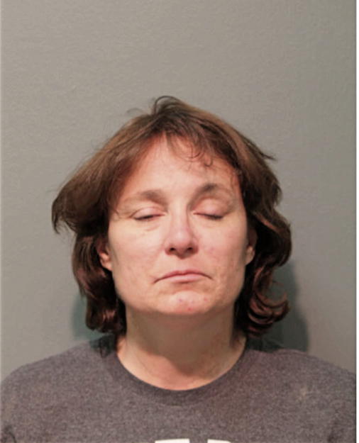 STACEY J SCHEPPNER, Cook County, Illinois