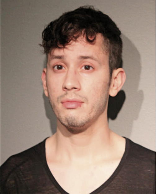 ERIC TORRES, Cook County, Illinois