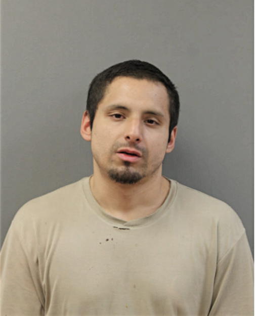 FRANCISCO J VEGA, Cook County, Illinois