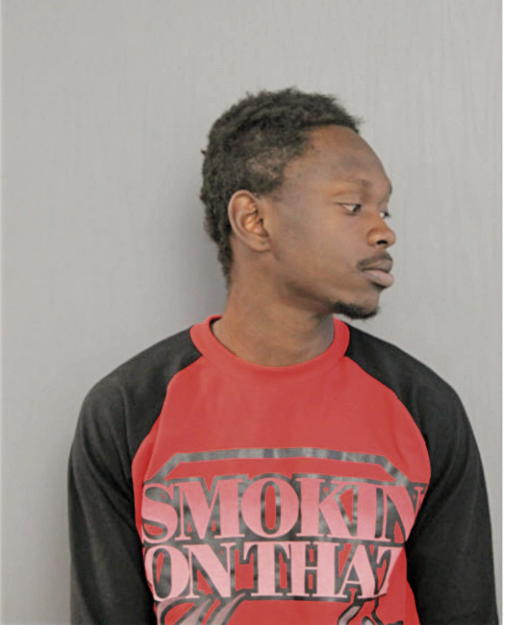 MICHAEL WASHINGTON, Cook County, Illinois